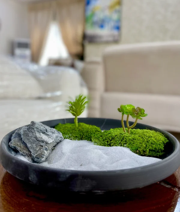 Medium Sized Artificial Moss