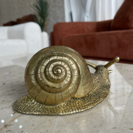 Snail decor