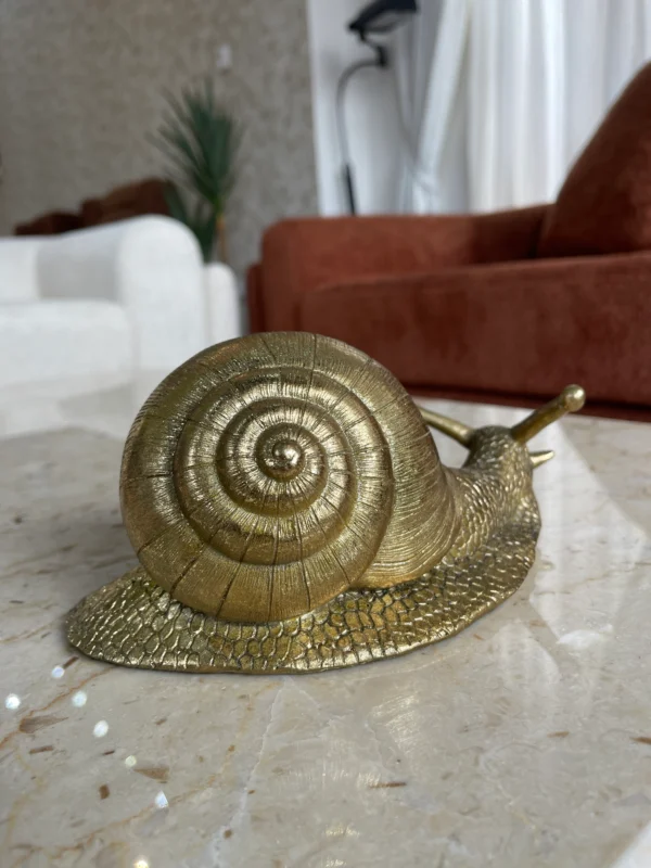 Snail decor