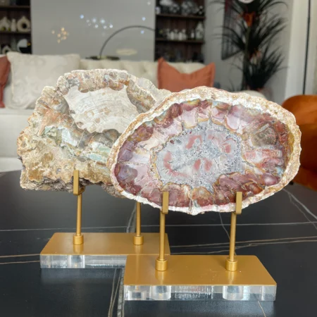 Natural Petrified Crystal Quartz Decor