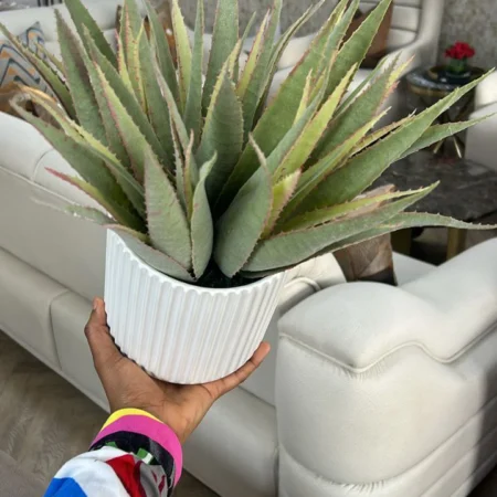 Artificial Agave Indoor Plant