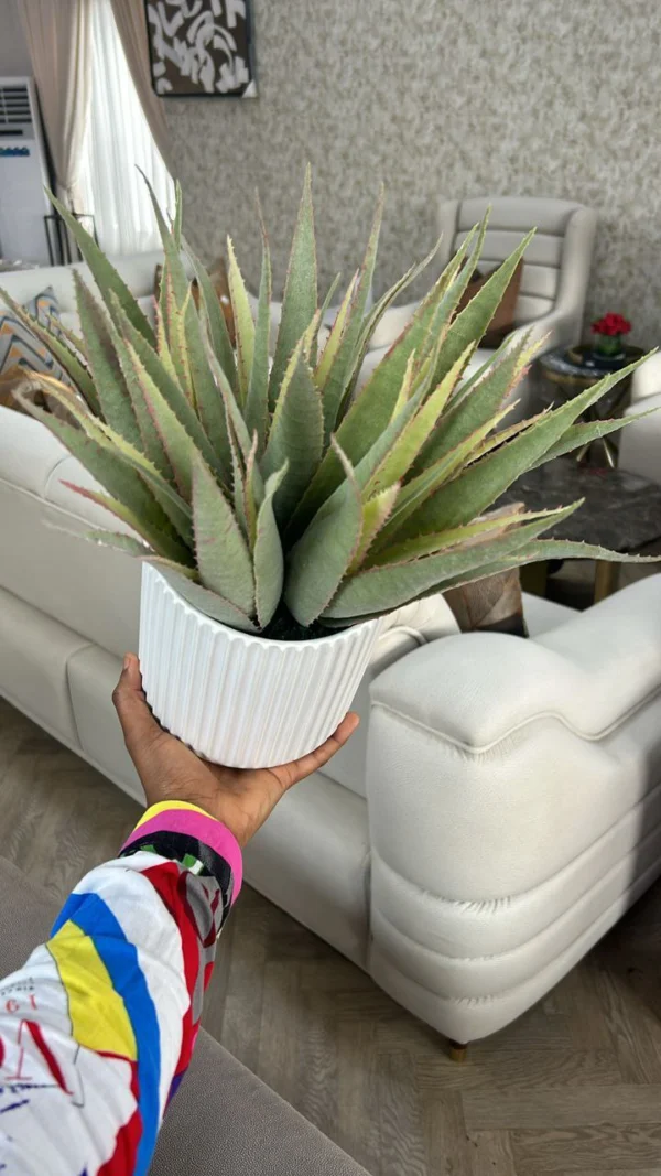 Artificial Agave Indoor Plant